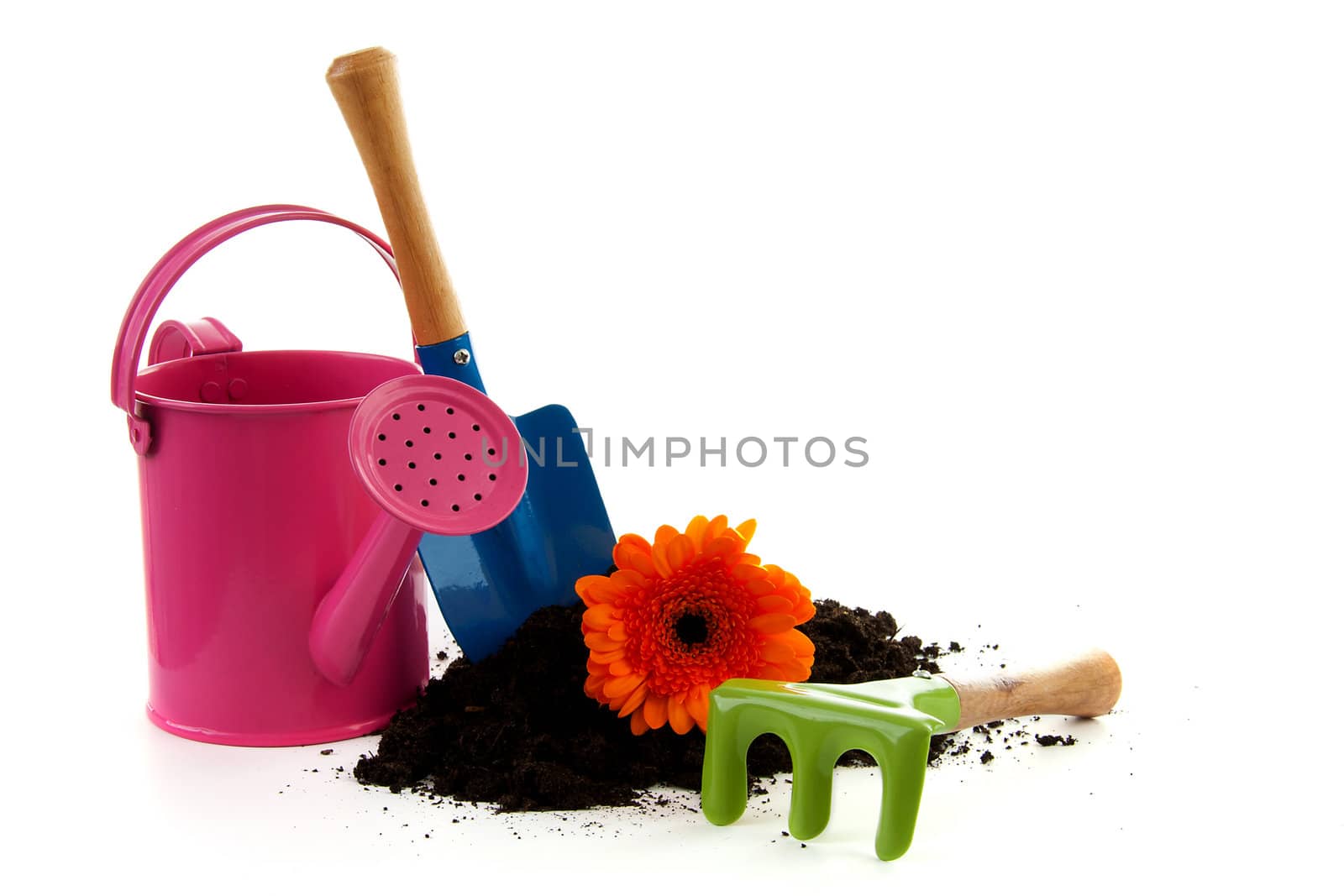 Colorful gardening tools and black soil over white background