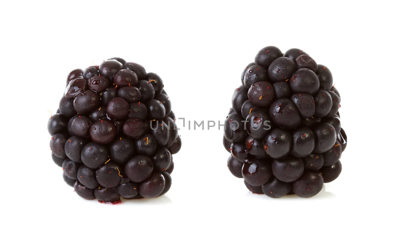 Macro of two blackberries over white background
