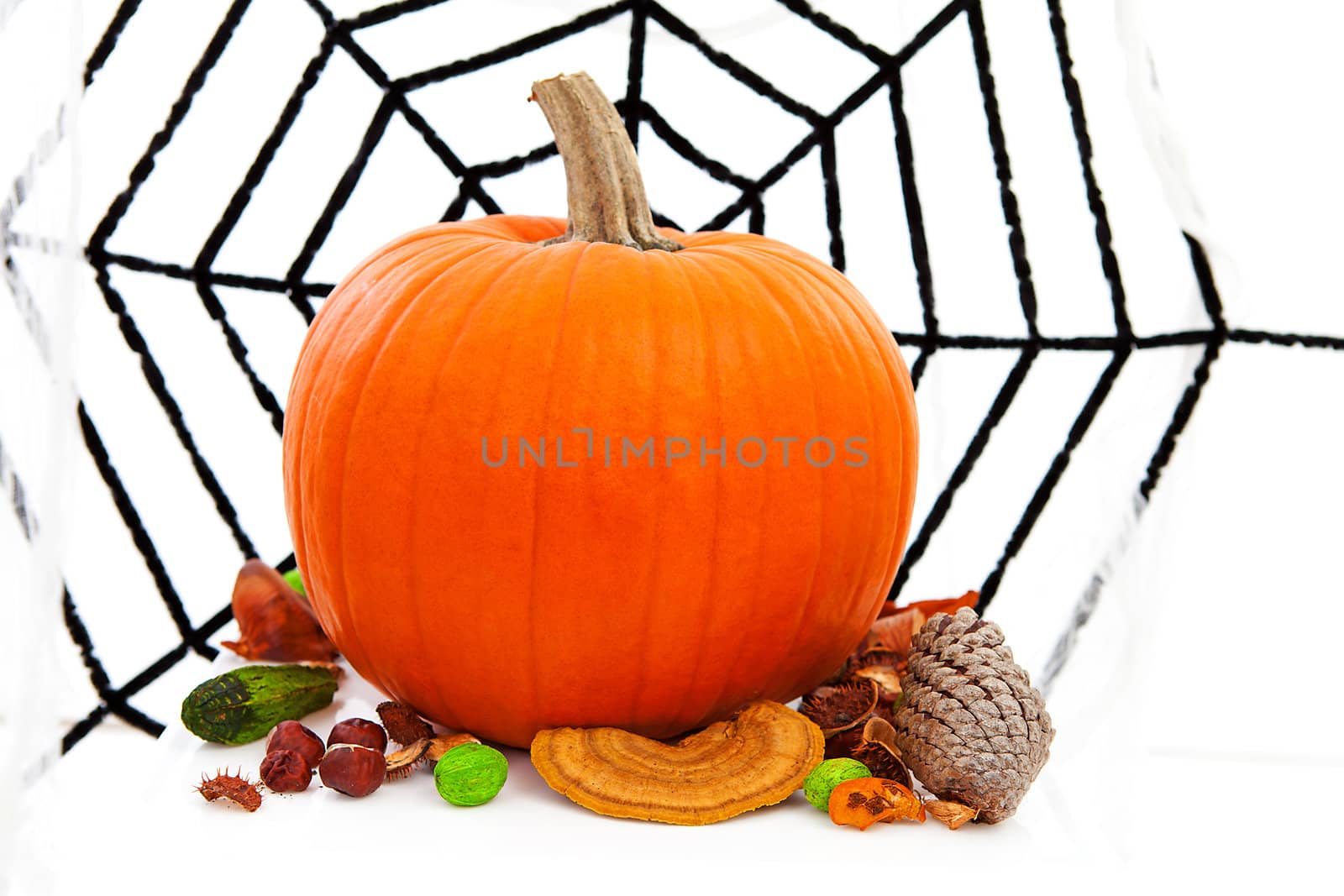 halloween pumpkin and spider web over white background