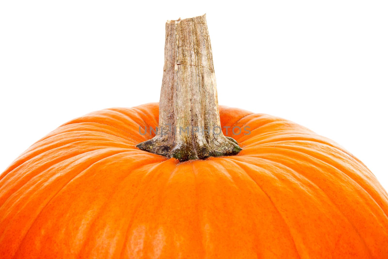 top of big orange pumpkin isolated on white background