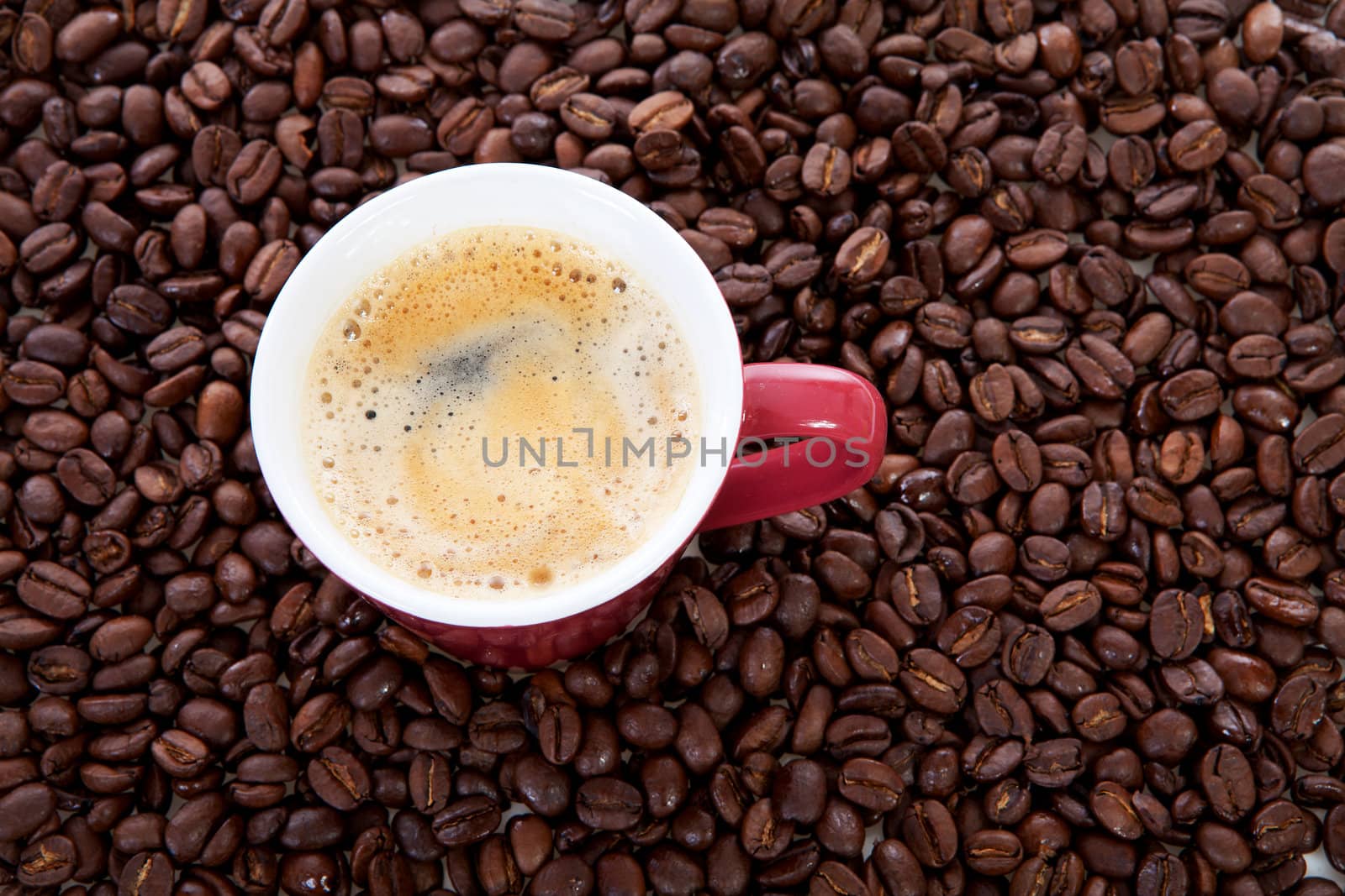 closeup of coffee cup in background of beans