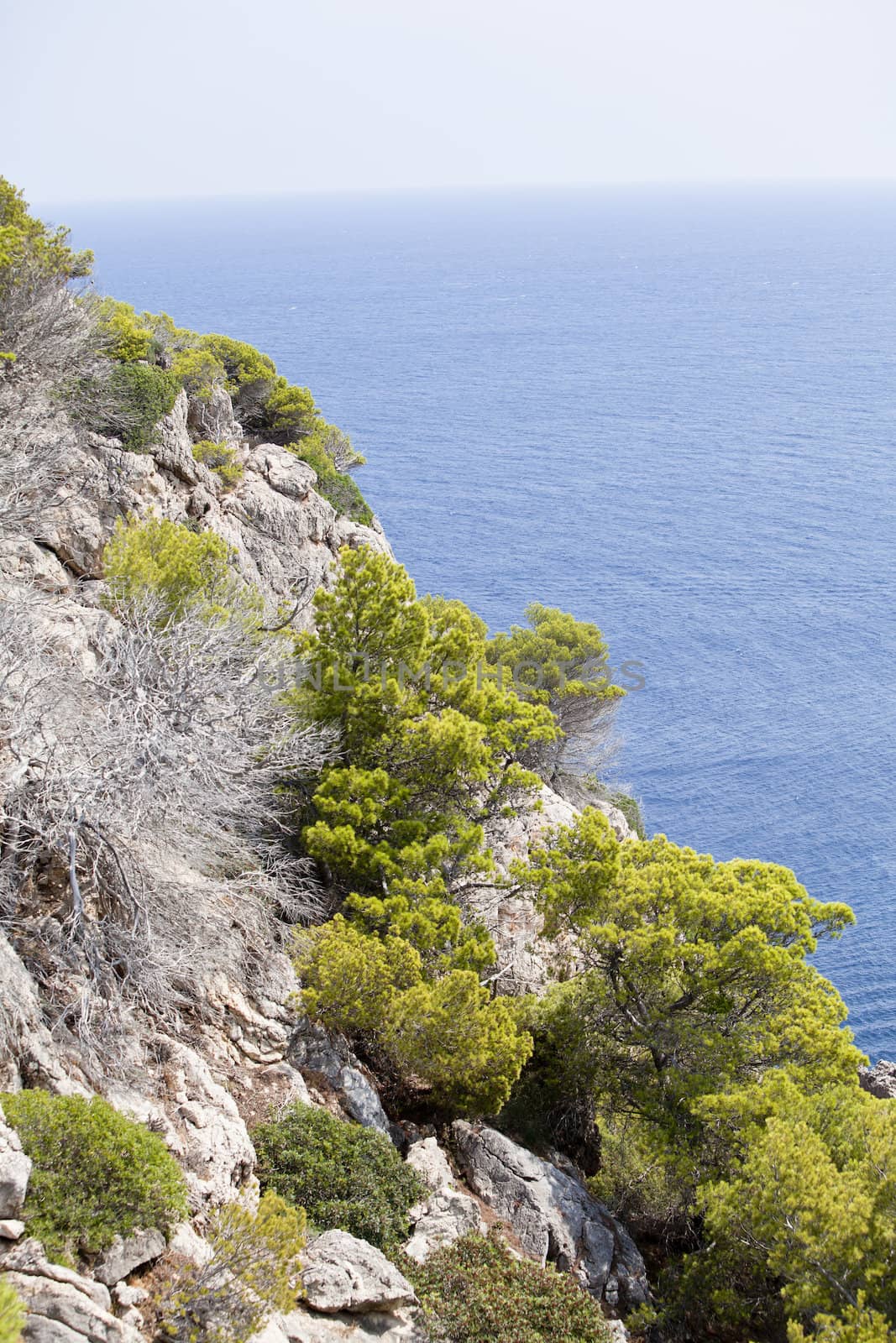 beautiful riffs rock stone sea ocean in summer vacation tropical