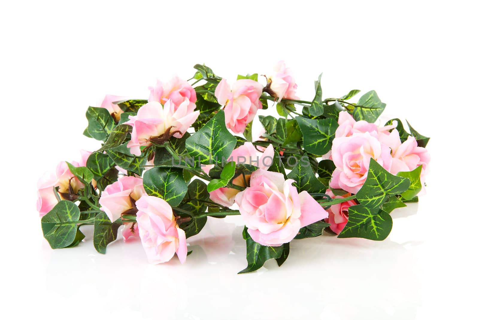 plastic garland with pink roses over white background