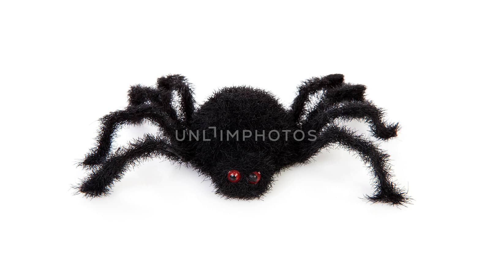 black scary hairy toy spider over white background