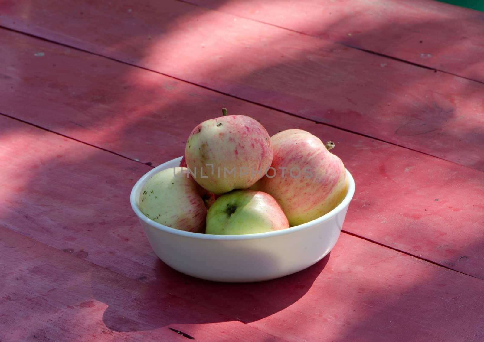 ecologic healthy apple tree fruits in white dish on red painted wooden table in rural garden yard.