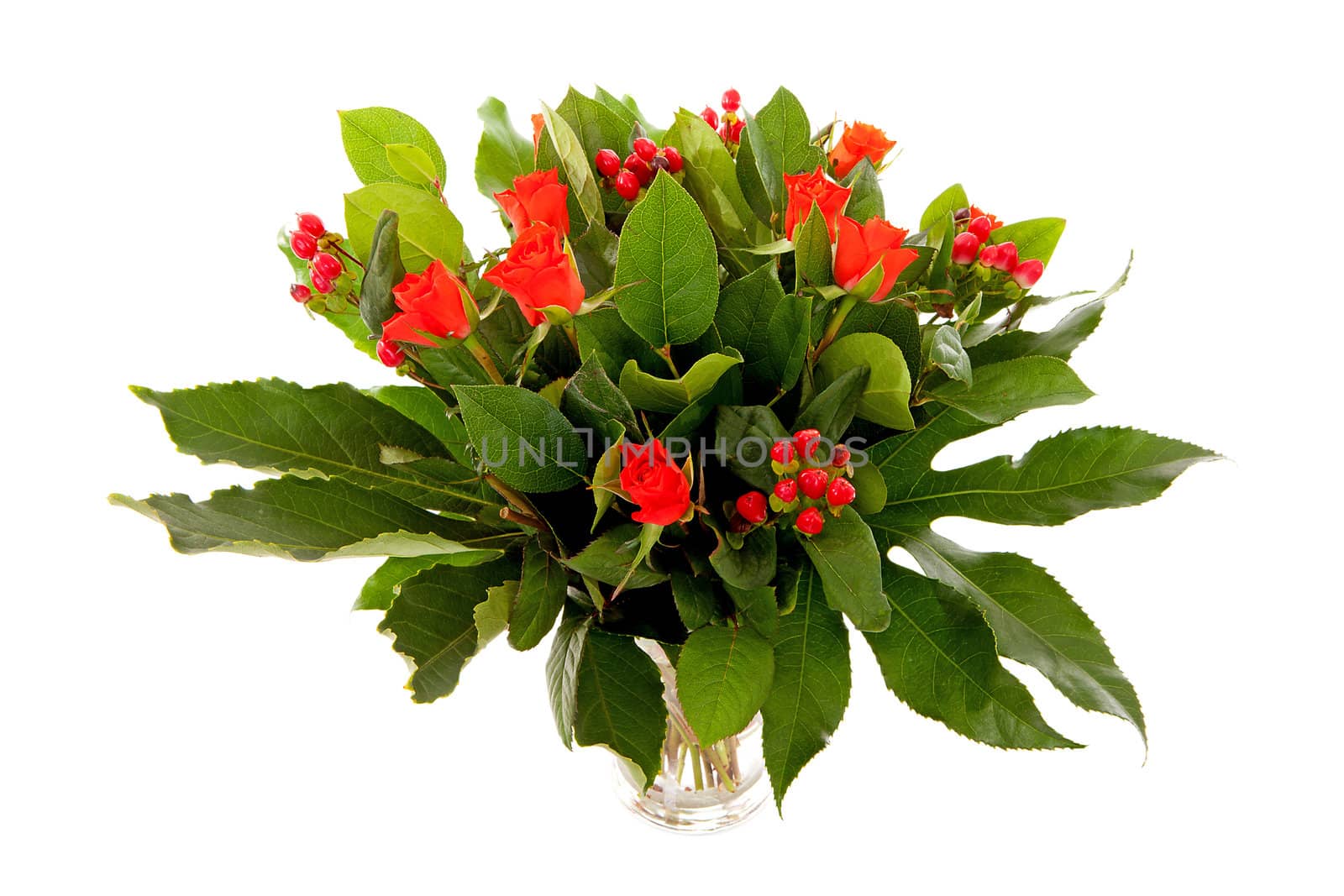 Bouquet of red flowers and leaves over white background