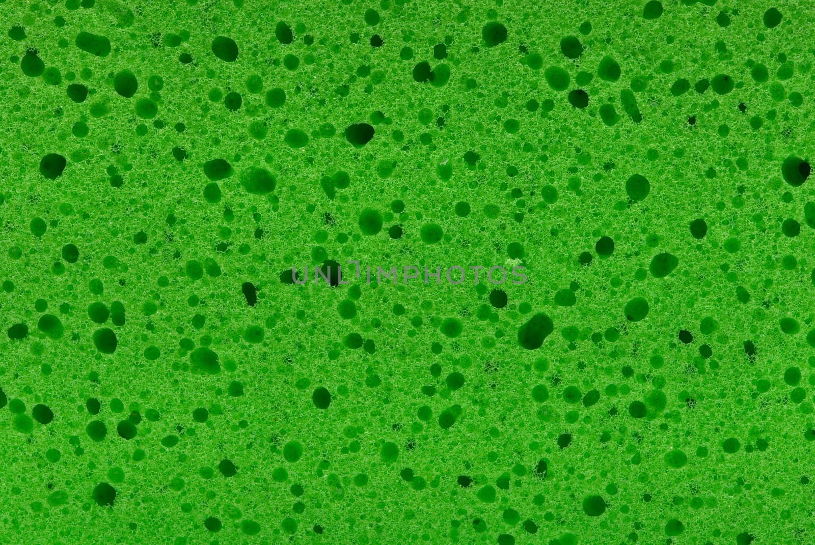 texture of green  sponge