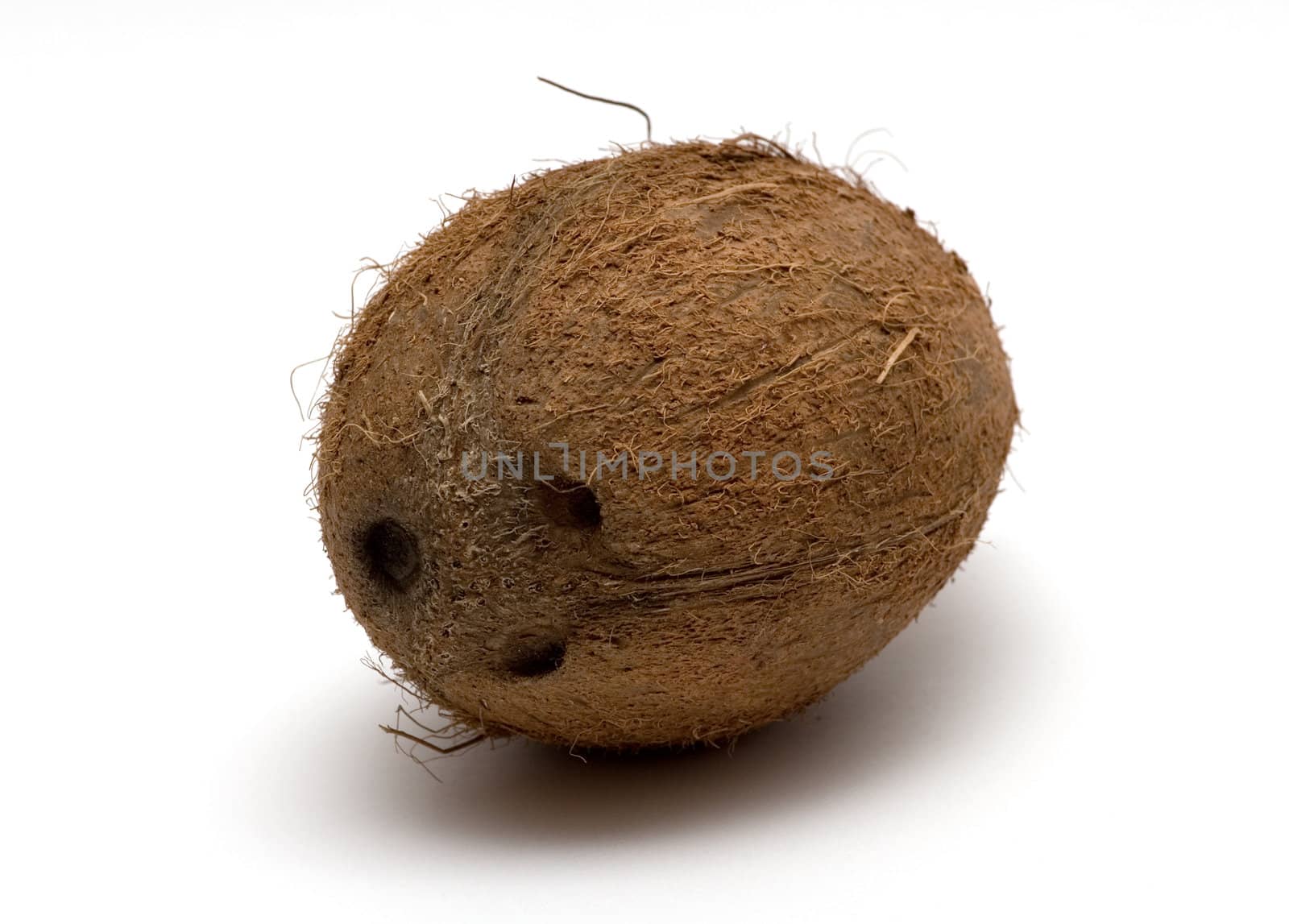 coconut