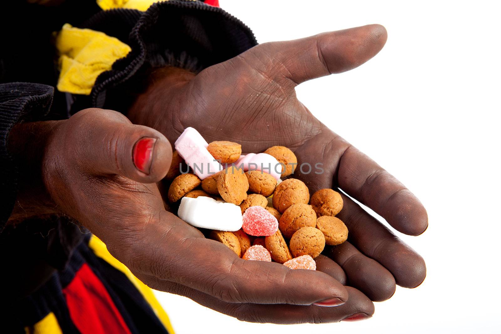 Hands of Zwarte piet ( black pete) typical Dutch character in closeup with pepernoten over white background