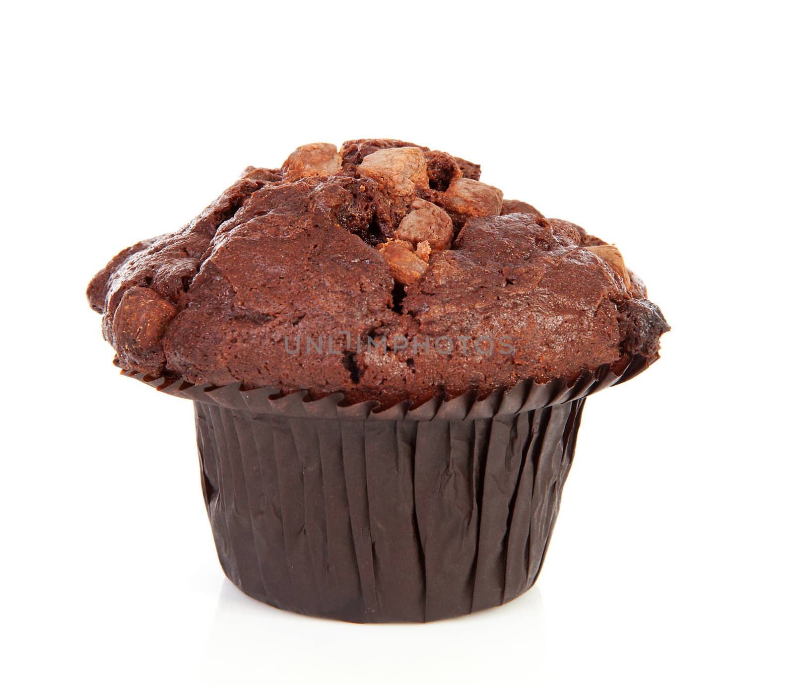 One Big chocolate cupcake isolated on white background