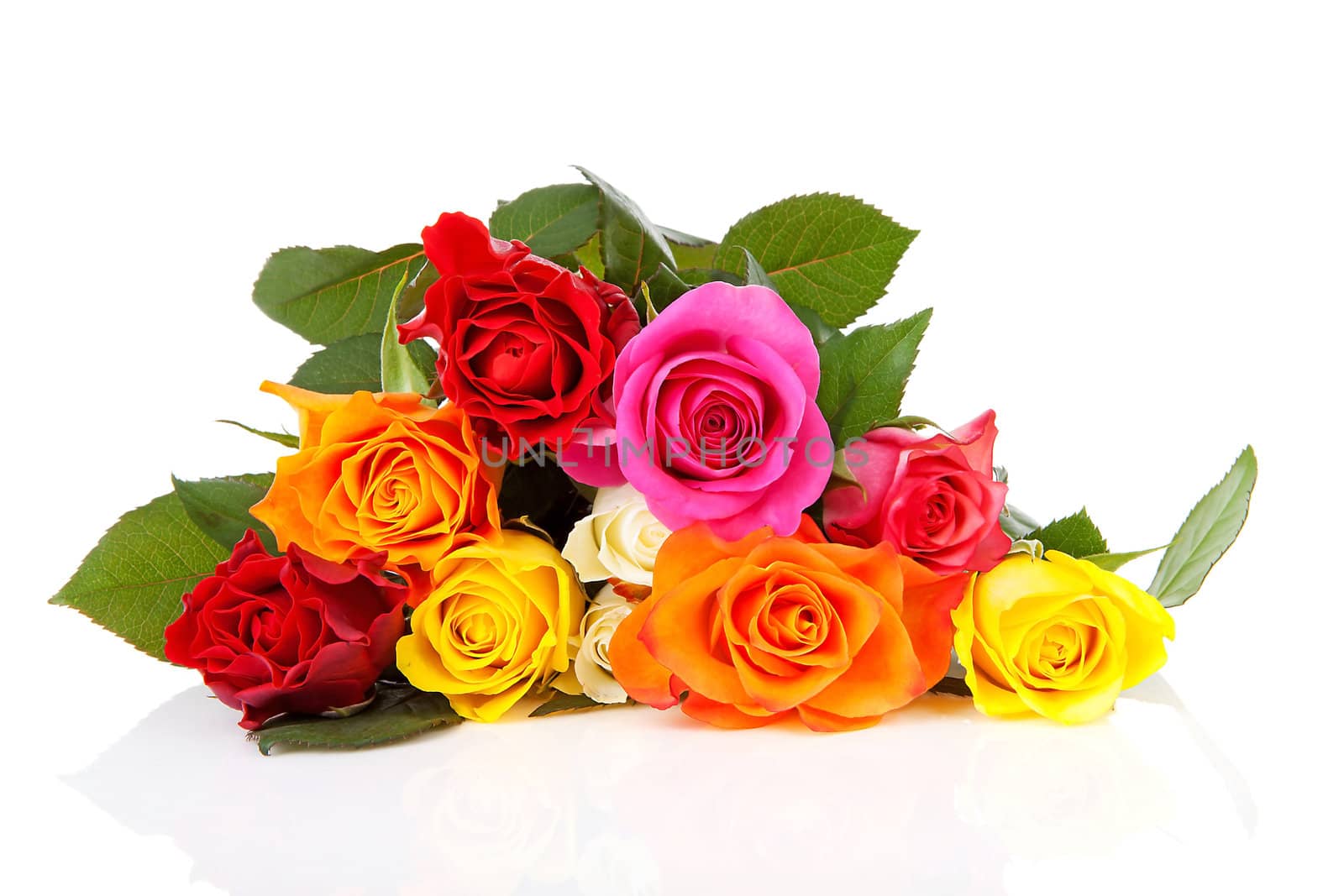 Pile of colorful roses over white background