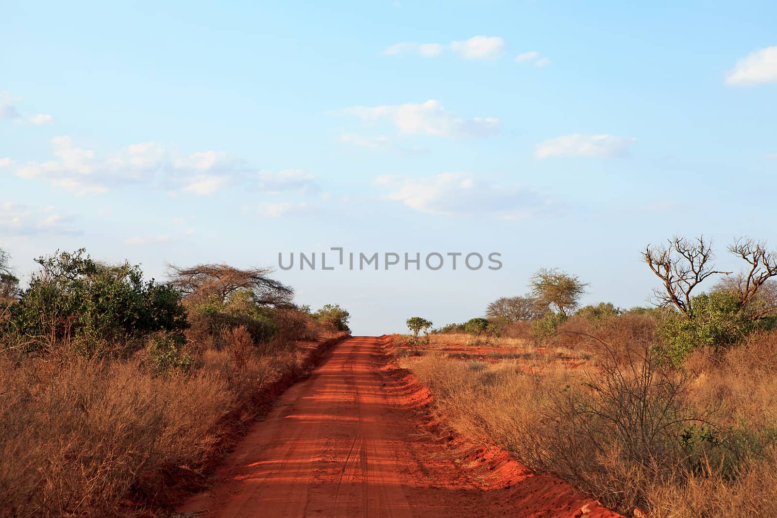 African road in Ngulia Rhino Sanctuary Kenya