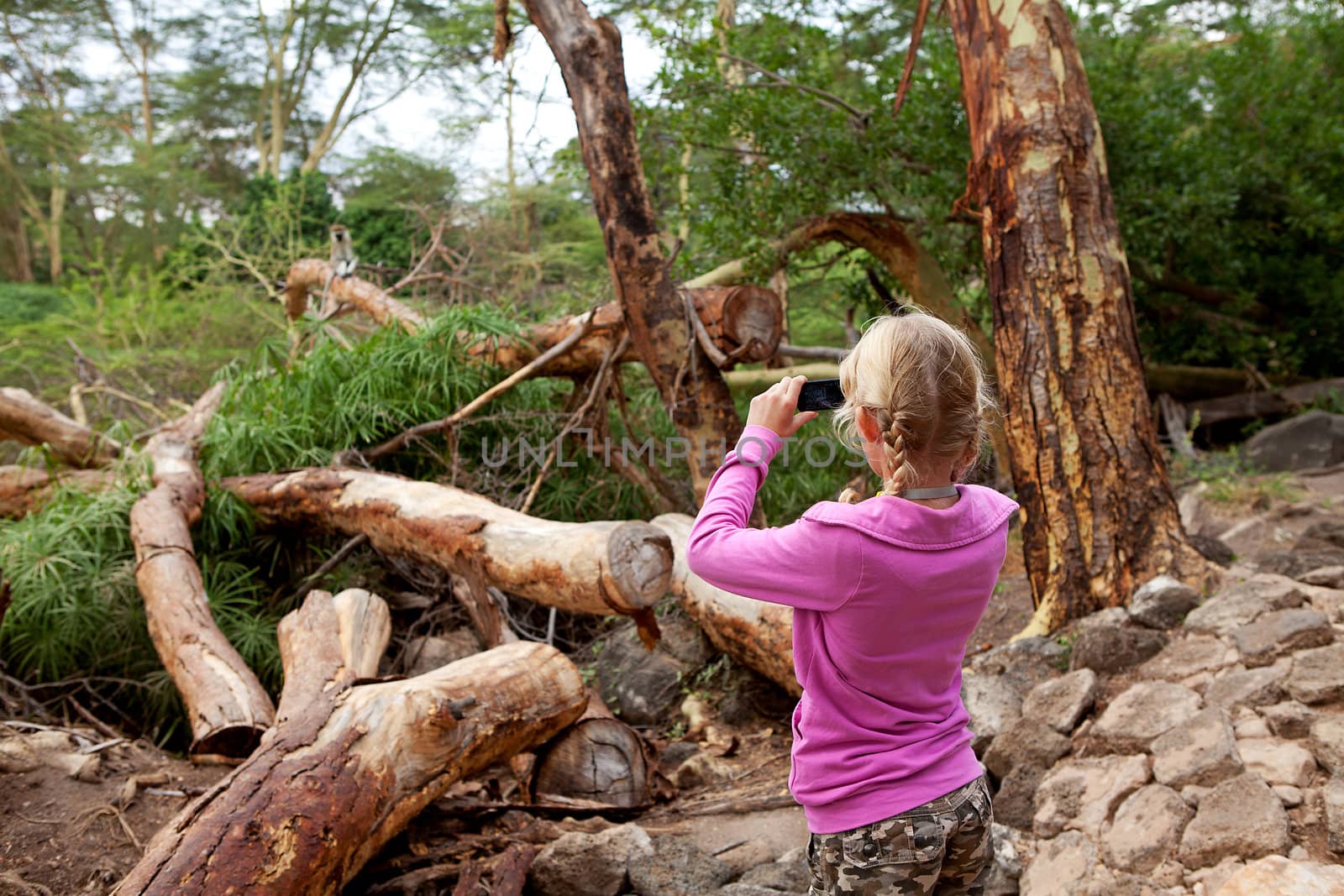 Young girl is taking photo of vervet monkey on safari in Kenya