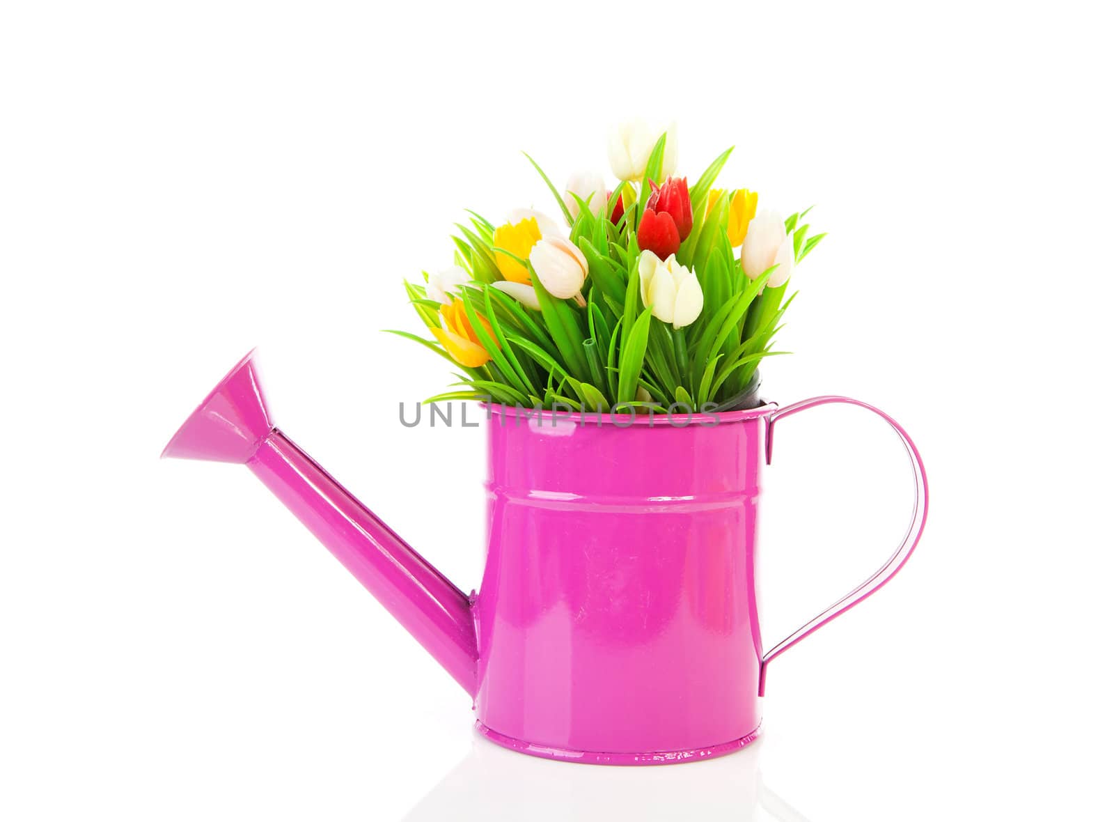 Pink watering can with plastic tulips over white background