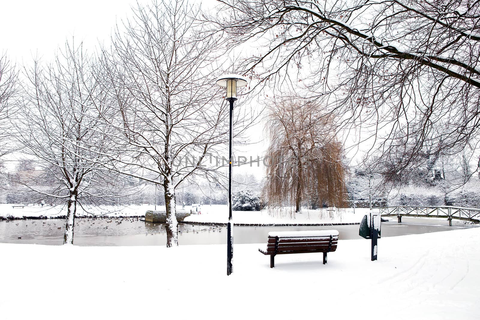Dutch park in wintertime covered with snow