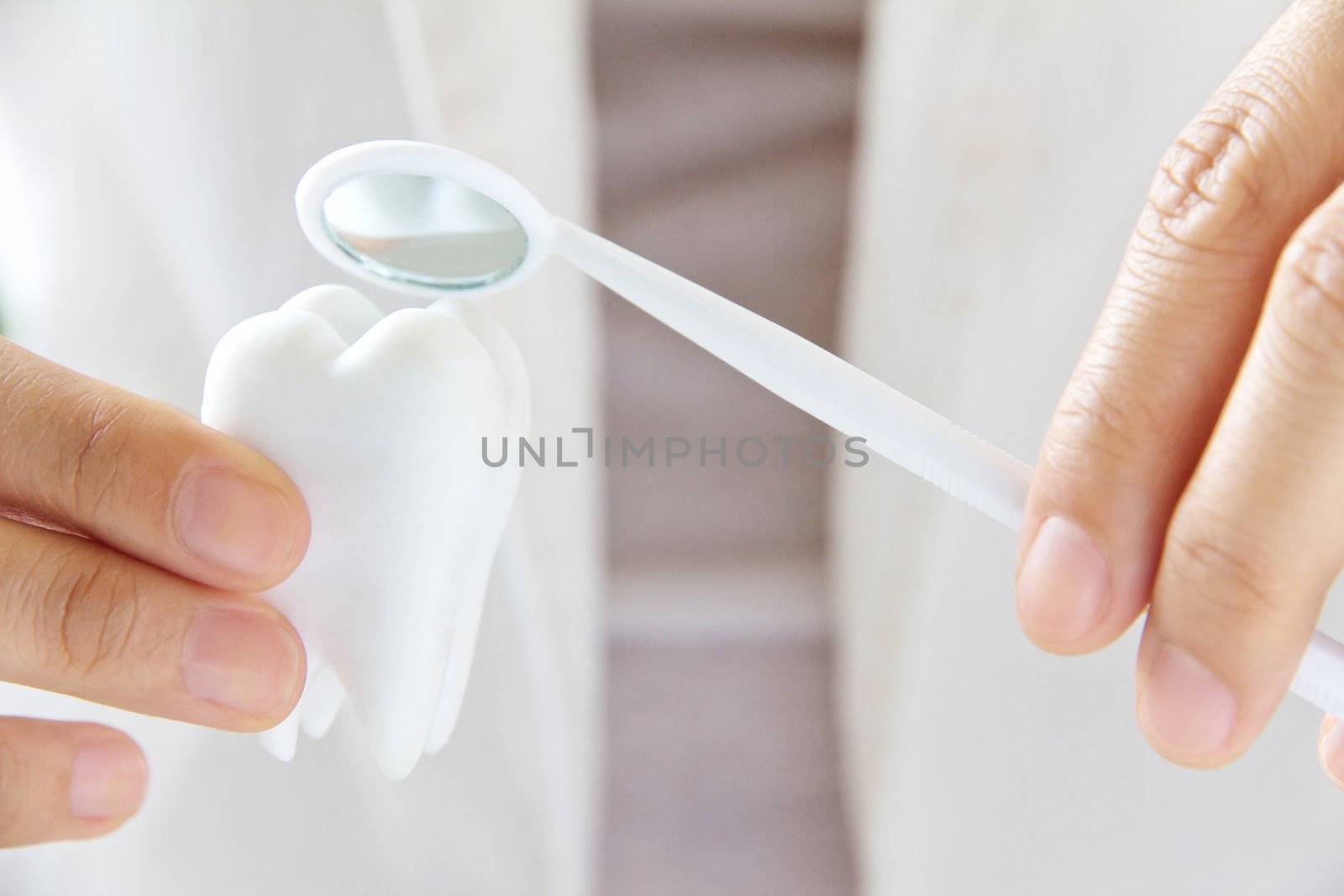 dentist holding molar,dental concept by ponsulak