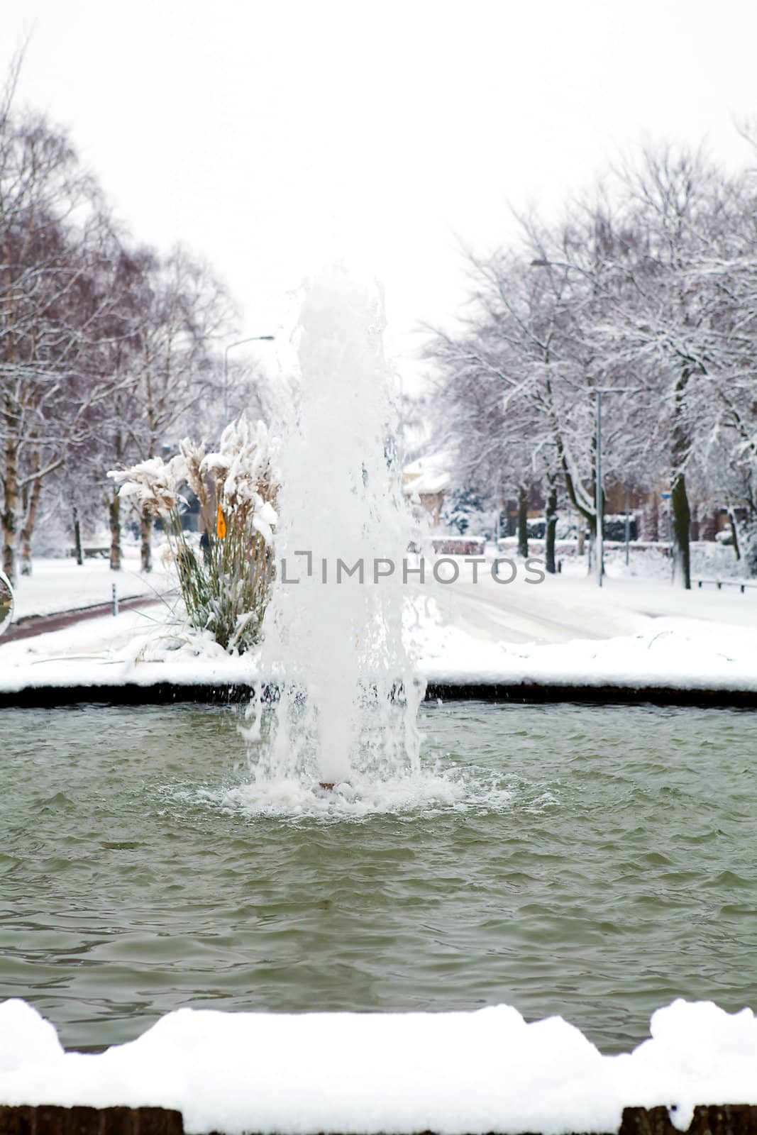 fountain in white winter setting