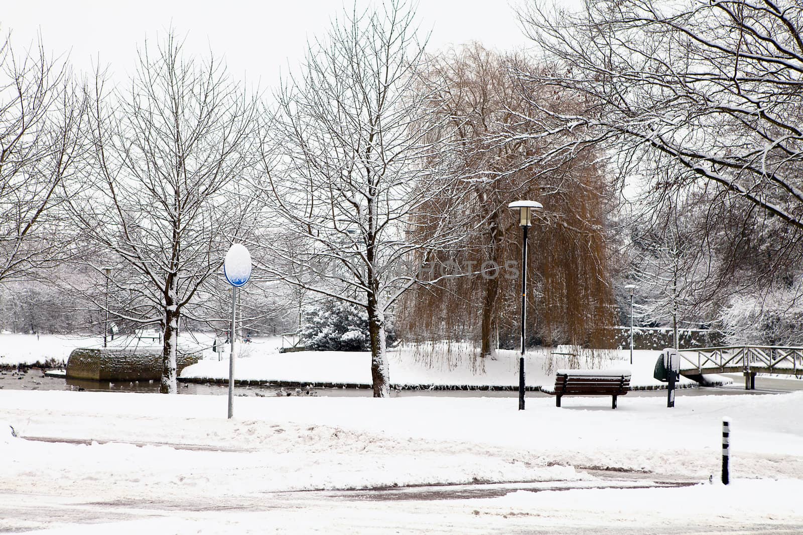 Dutch park in wintertime covered with snow