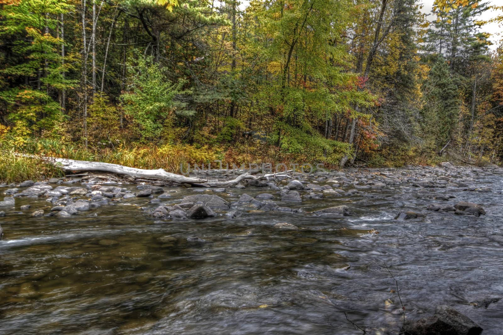 Forest river in the fall near Wakefield Mill