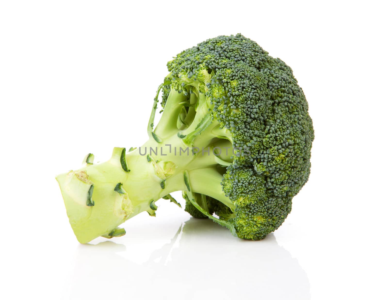Fresh broccoli isolated on white background 
