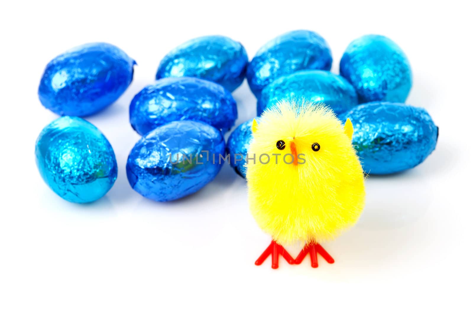 Easter chicken and blue eggs over white background