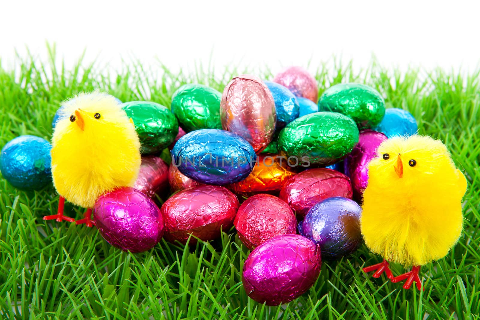 Easter chickens and colorful eggs on grass over white background