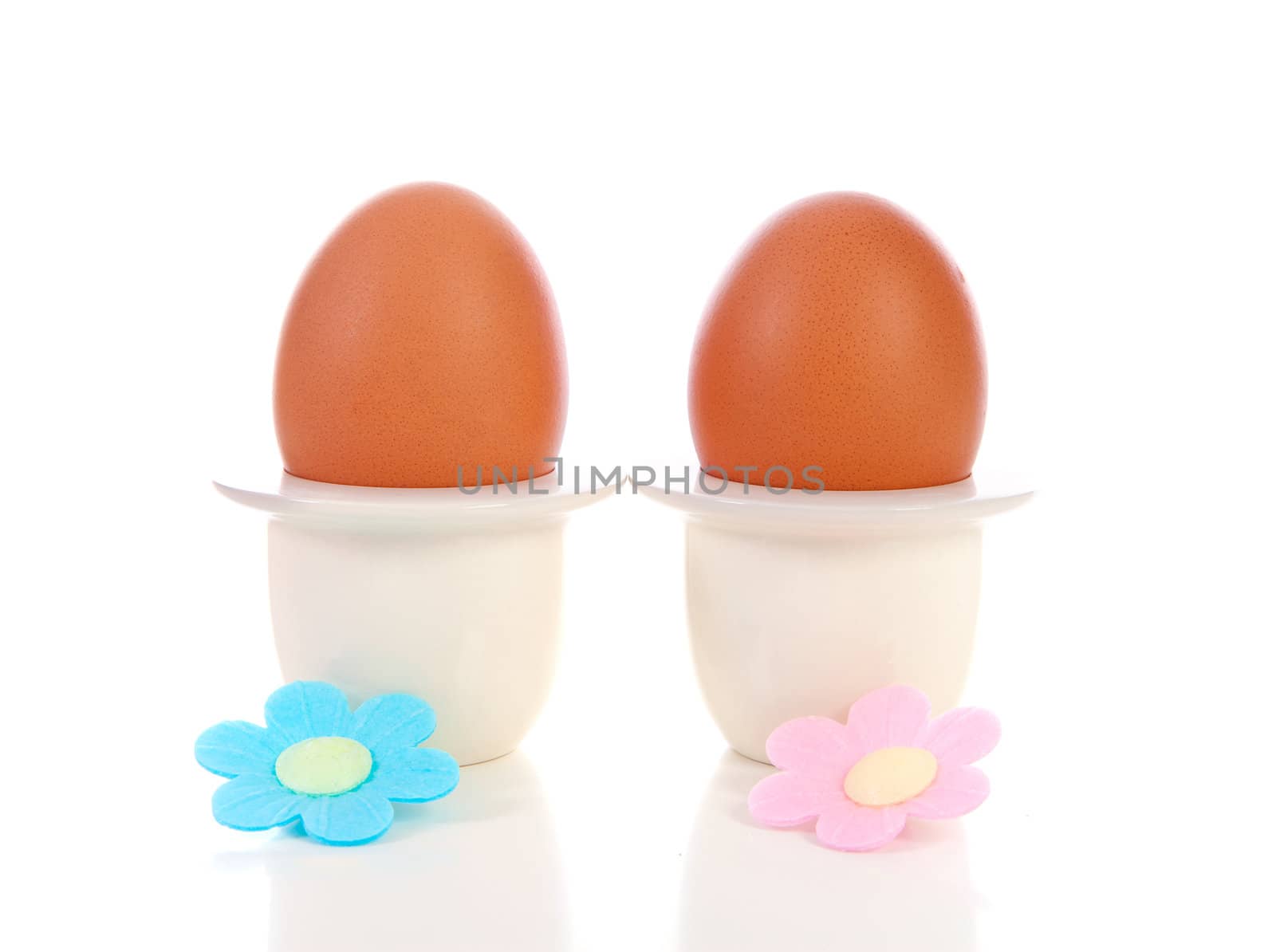 Two chicken eggs in holder with flowers over white background