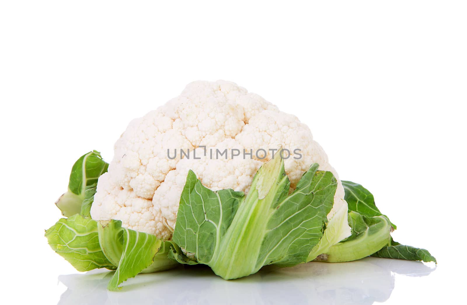fresh dutch Cauliflower isolated on white background