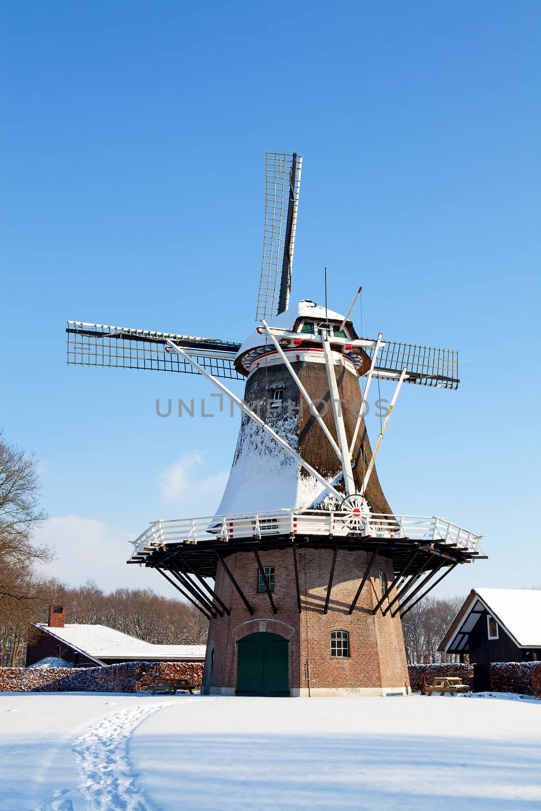Dutch windmill near Apple in the snow
