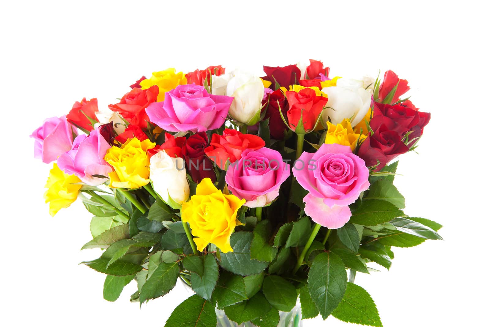 Bouquet of colorful roses over white background