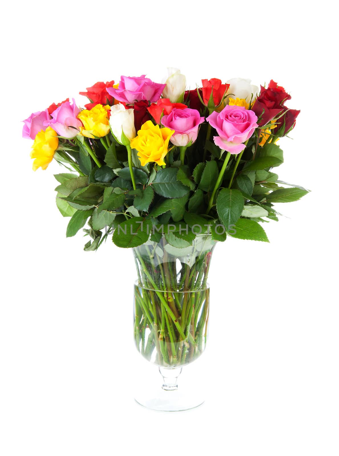 Bouquet of colorful roses over white background