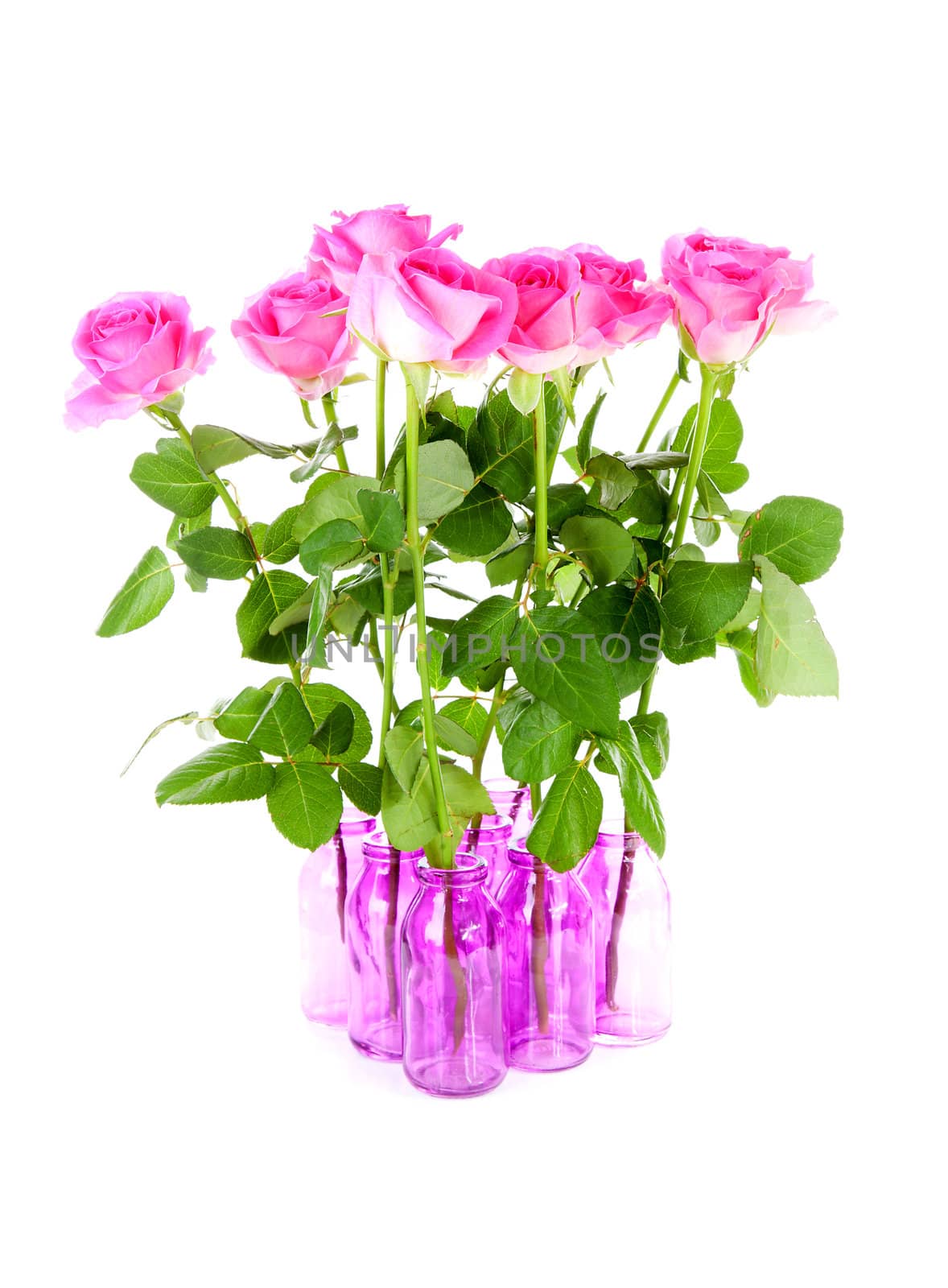 Bouquet of roses in pink vases over white background