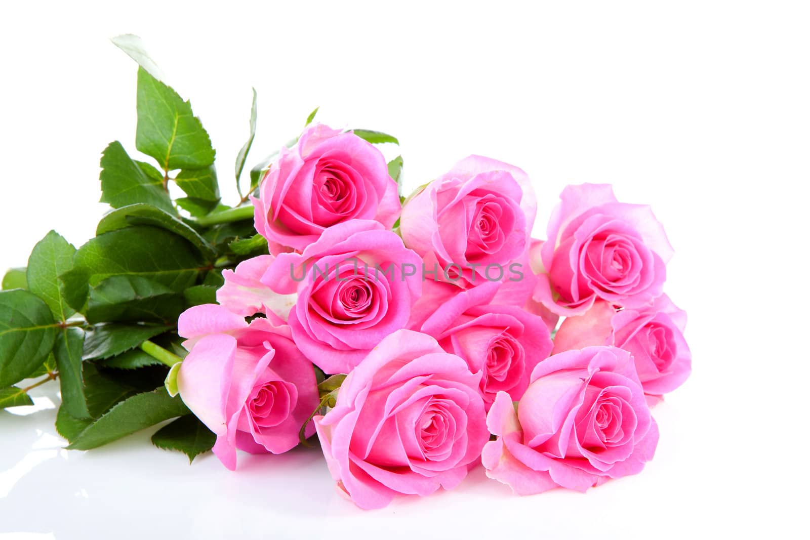 Bouquet of pink roses over white background