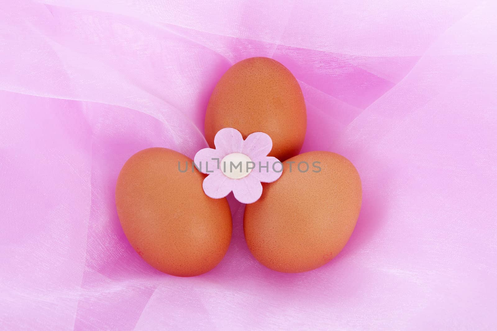 Easter chicken eggs and flower over pink fabric in closeup