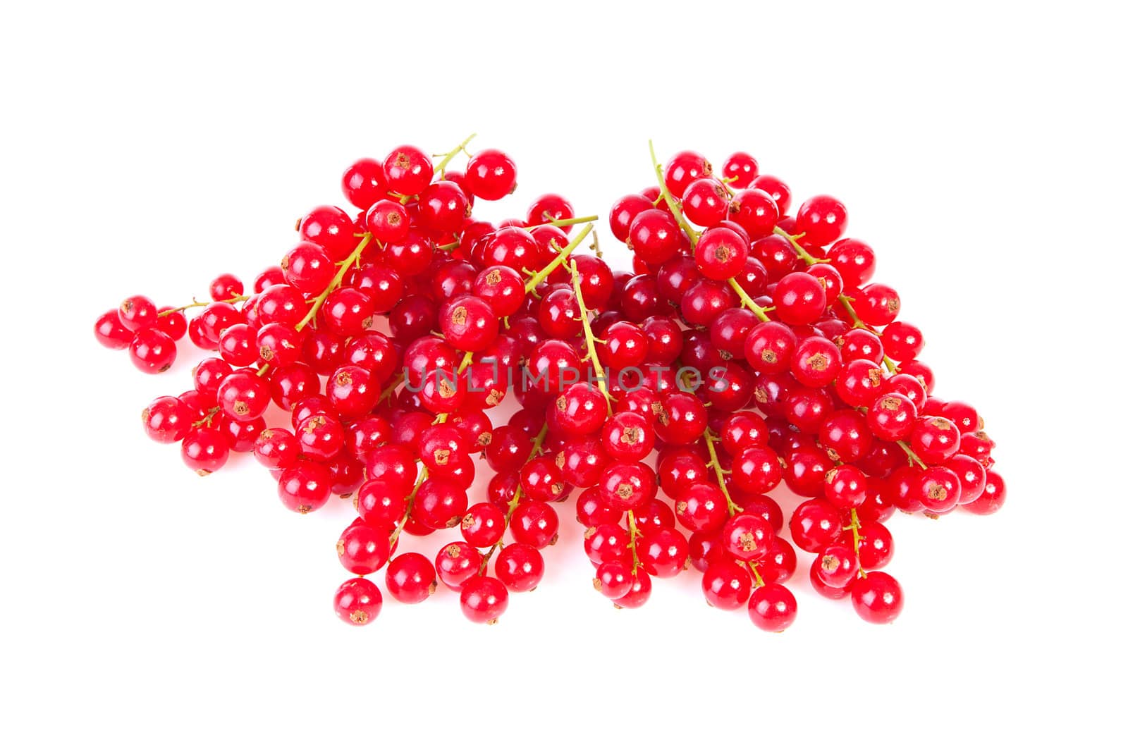 fresh red currant berries over white background