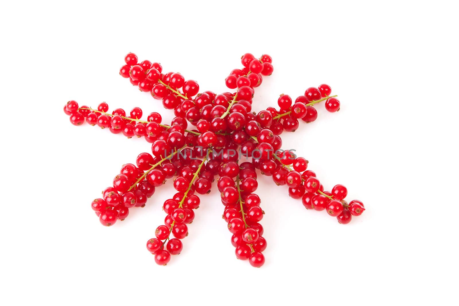 Star made out of fresh red currant berries over white background