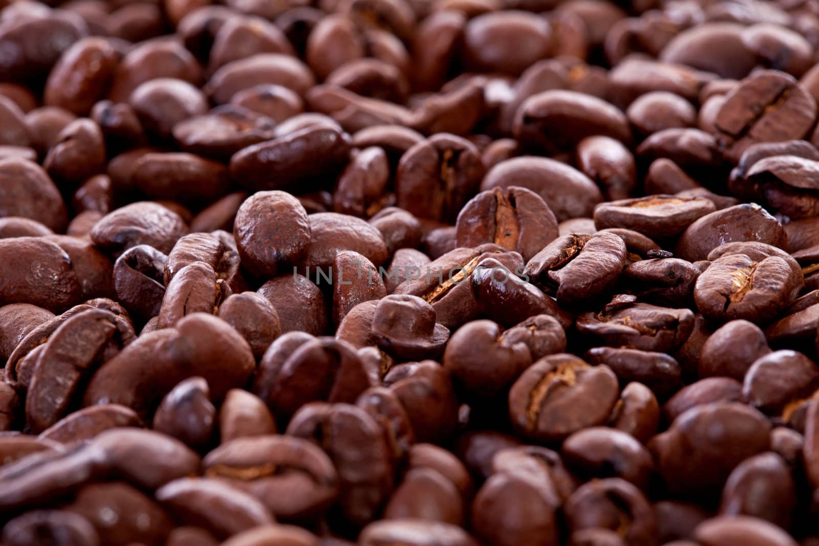 Background of roasted coffee beans in closeup
