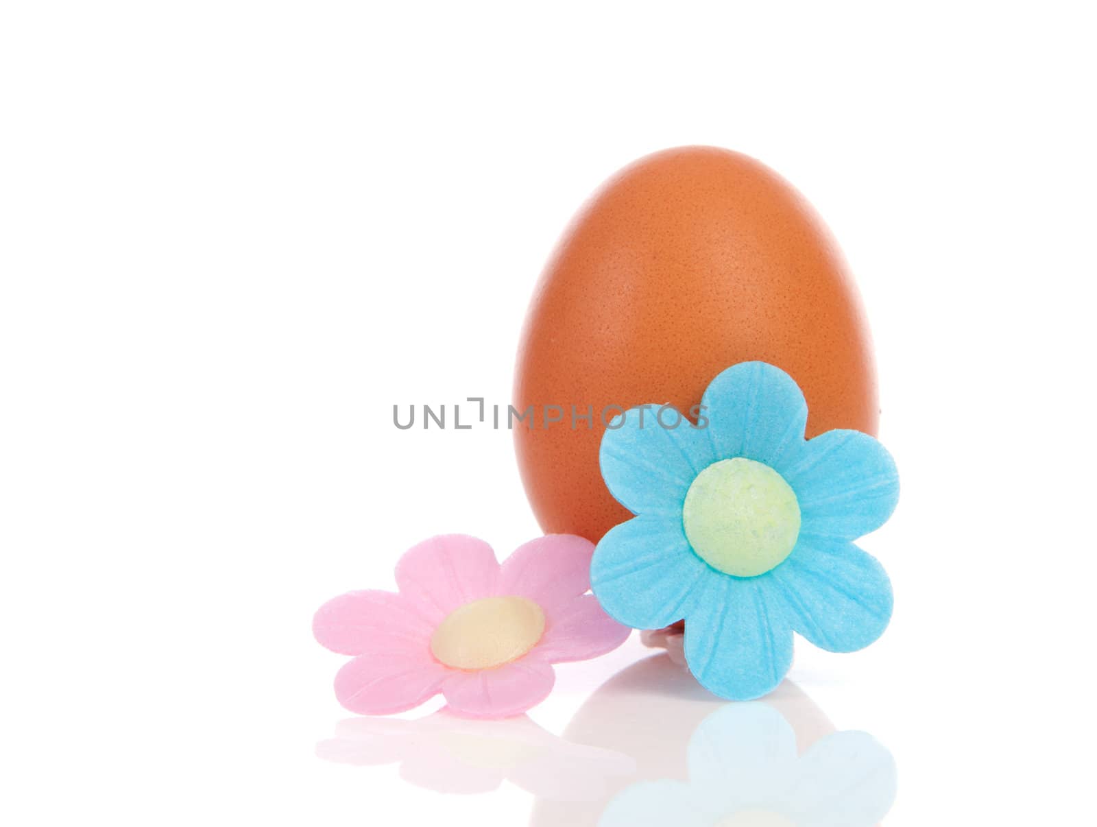 One chicken egg with pink and blue flower over white background