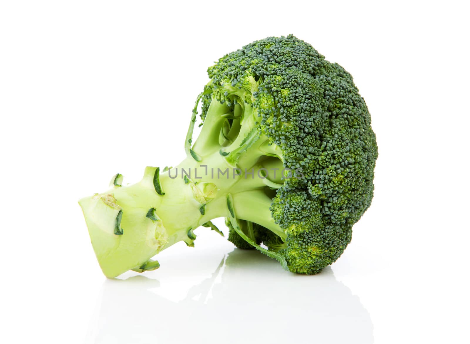 Fresh broccoli vegetable isolated on white background