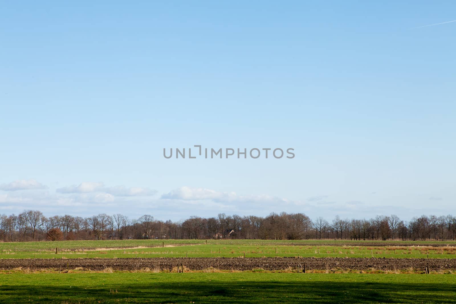 Typical Dutch landscape with meadows on sunny day