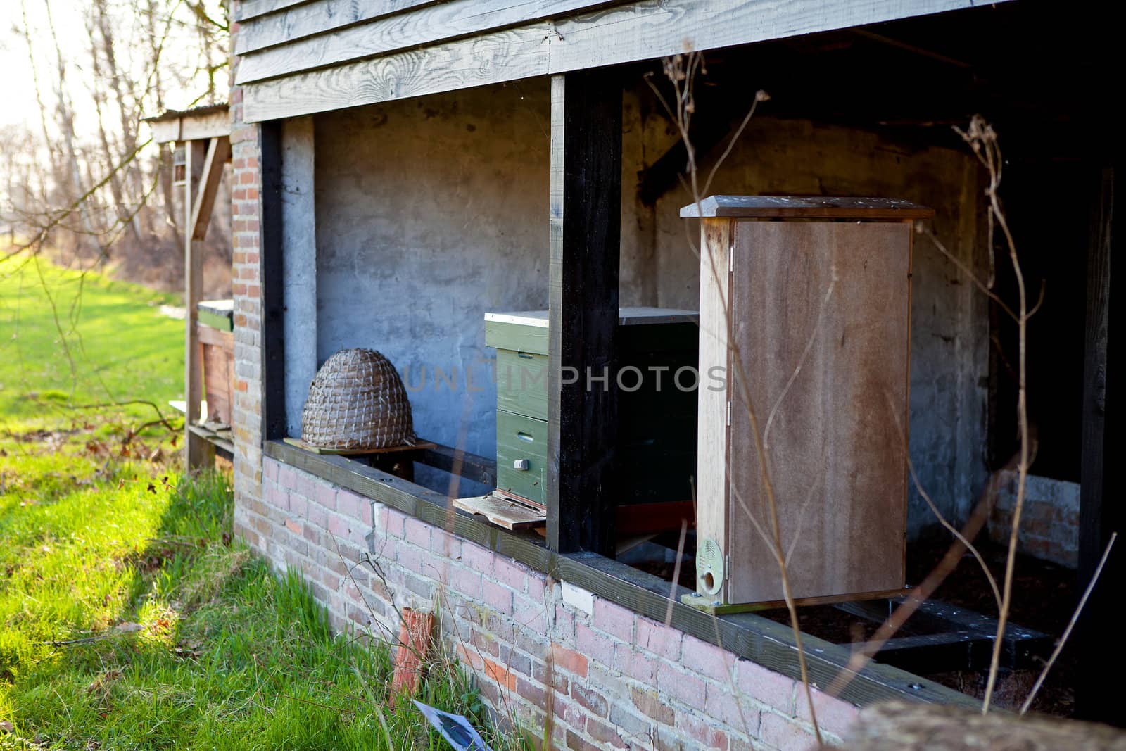 Bee hive in a house with bees