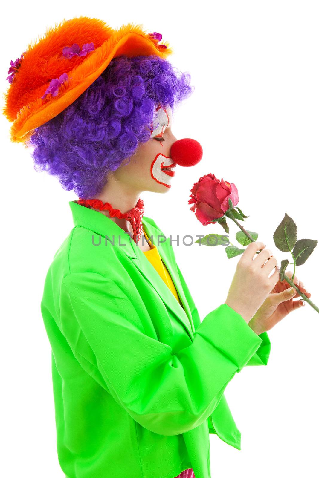 portrait of child dressed as colorful funny clown smelling red rose over white background
