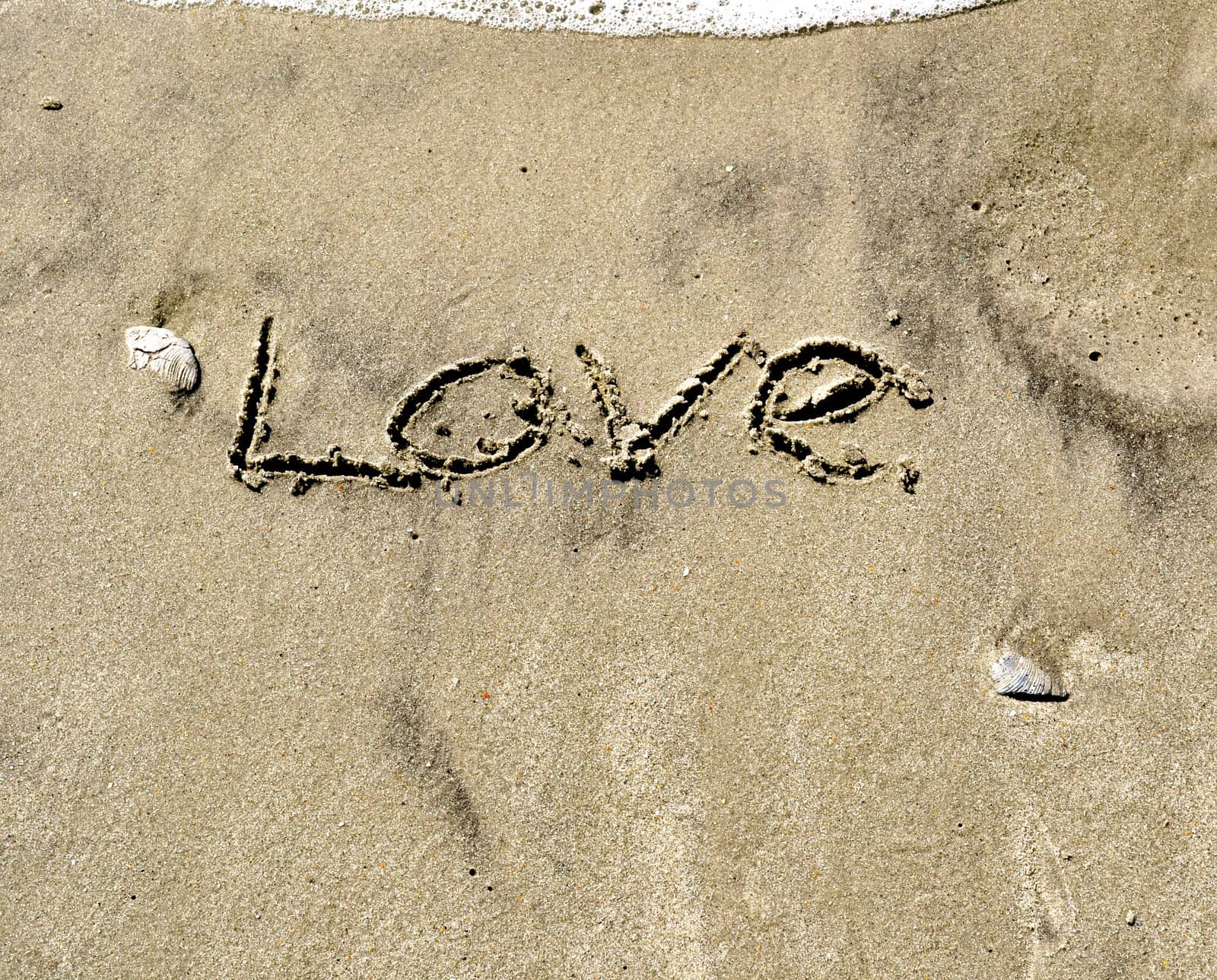 Love In the Sand