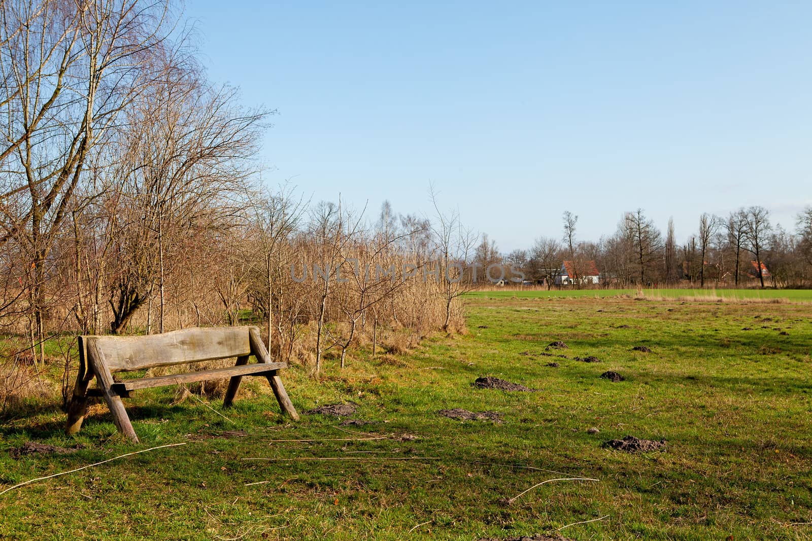 Empty bench in typical Dutch nature on sunny day