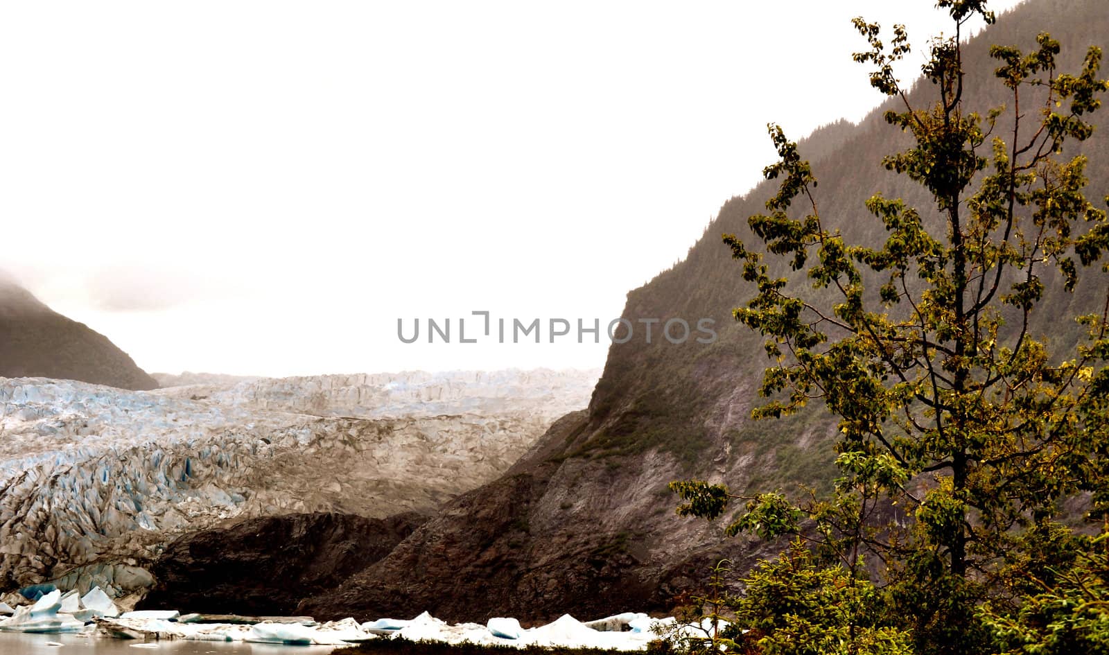 Alaskan Glaciers by RefocusPhoto