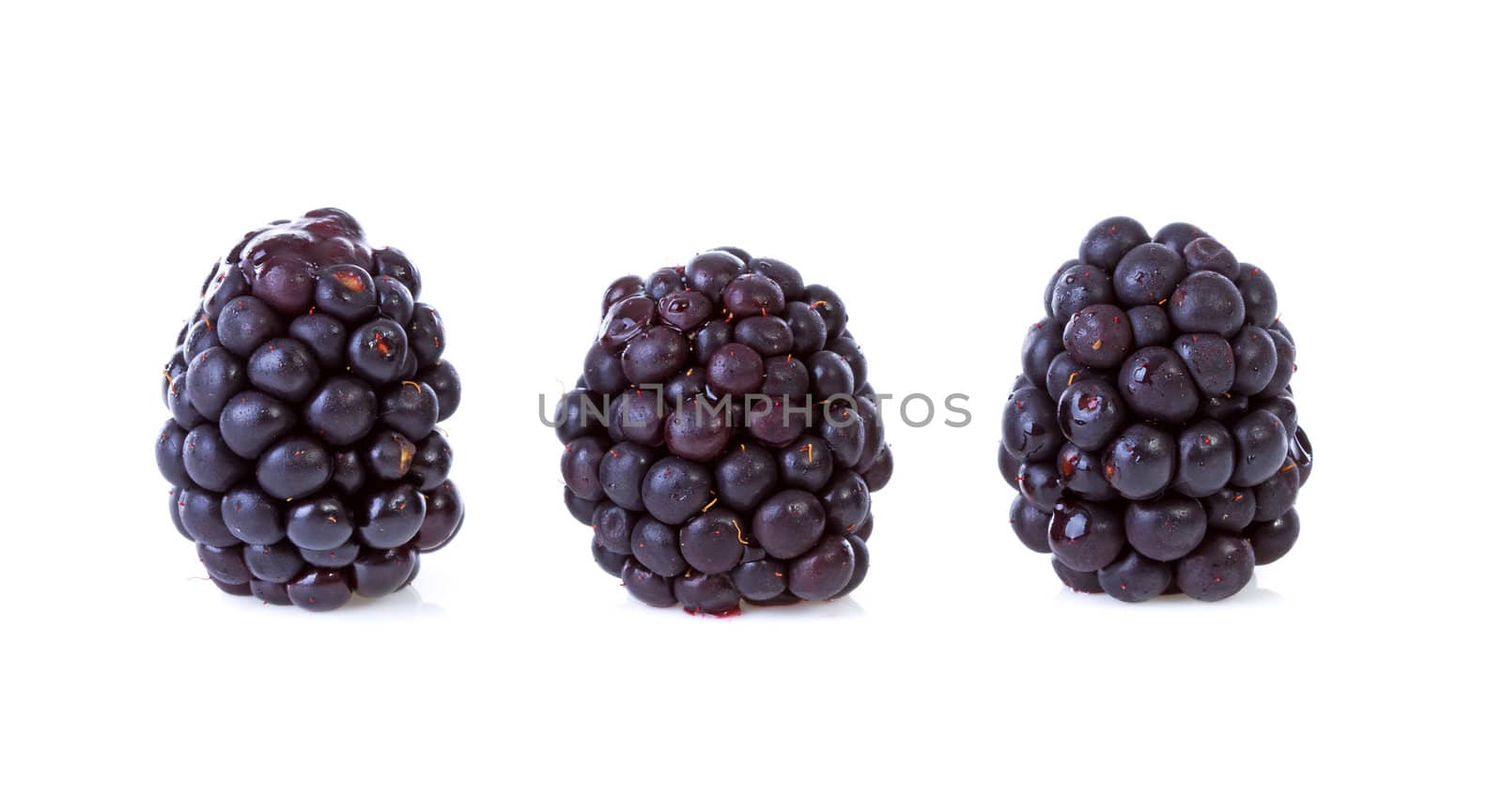Macro of three blackberries over white background