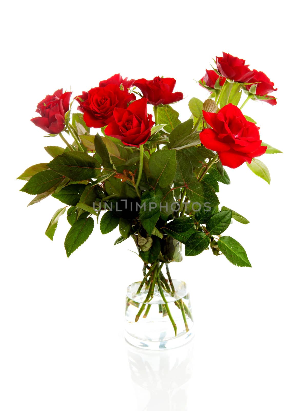 Bouquet of red roses in vase over white background