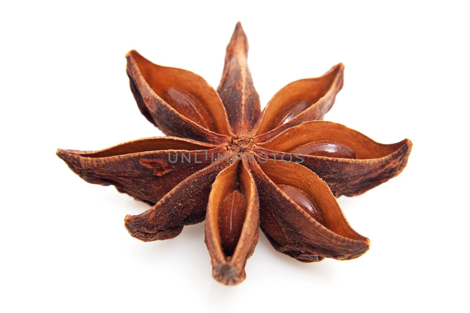 whole star anise in closeup over white background