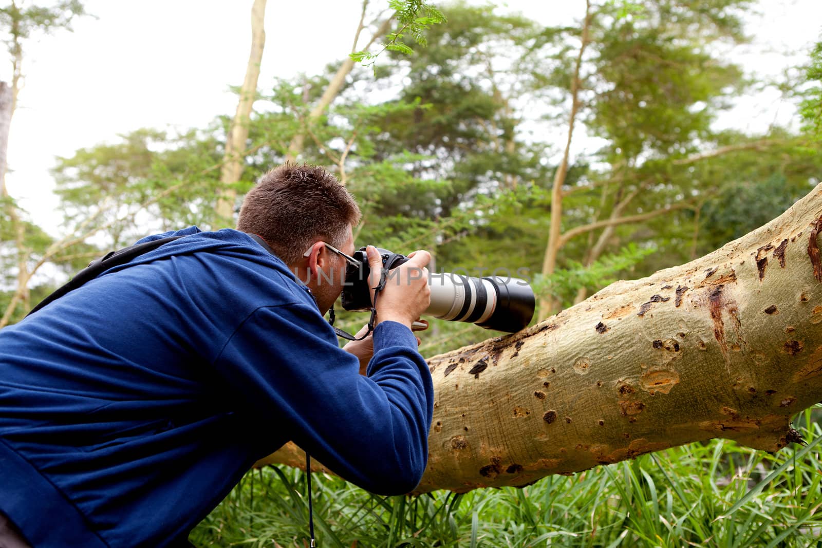 Paparazzi man making photo behind tree