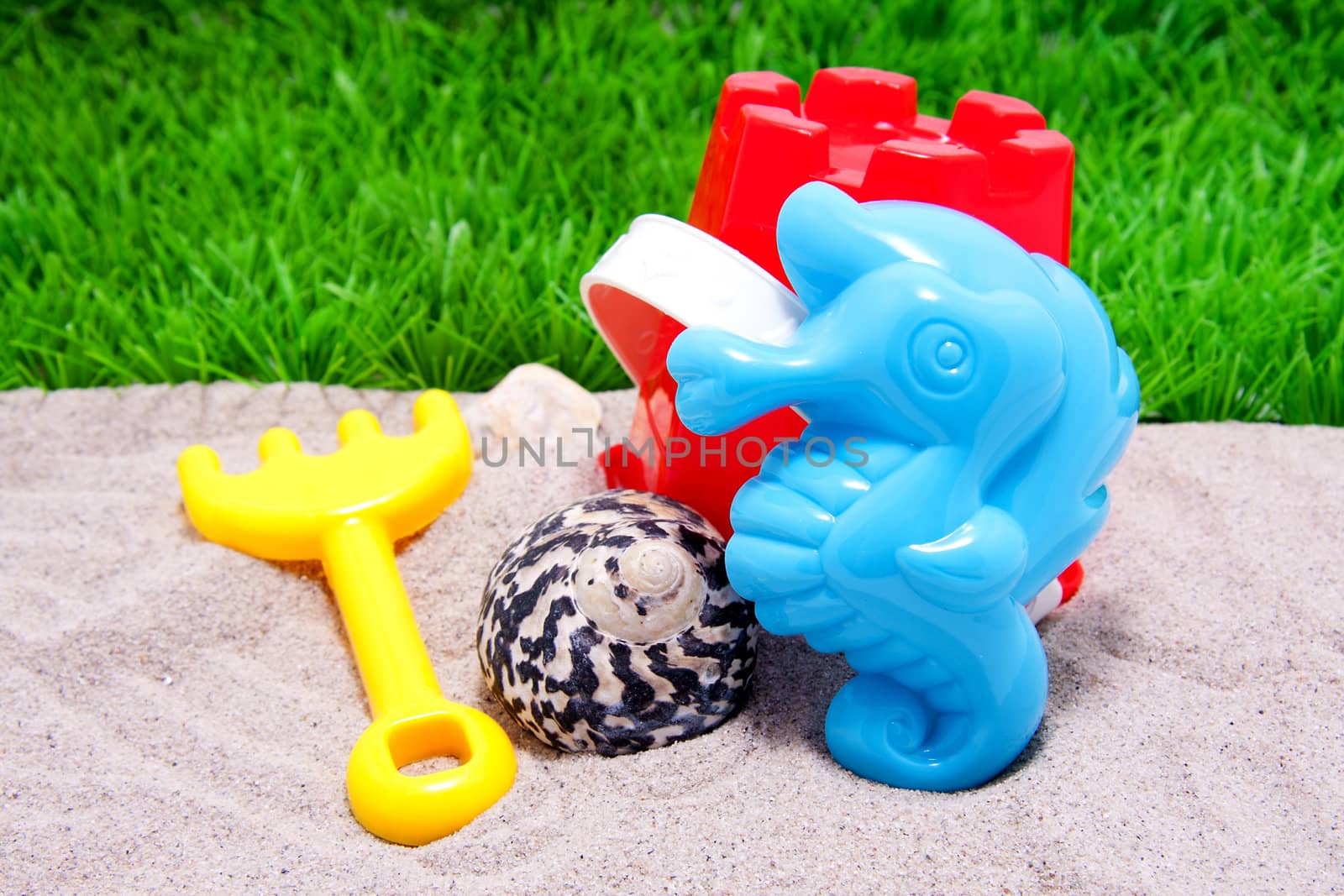 Plastic beach toys on sand with shell